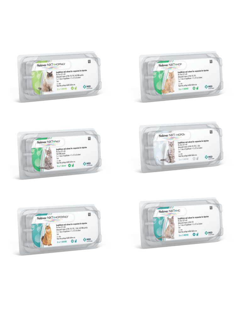 Vacunas Nobivac NXT para Gatos
