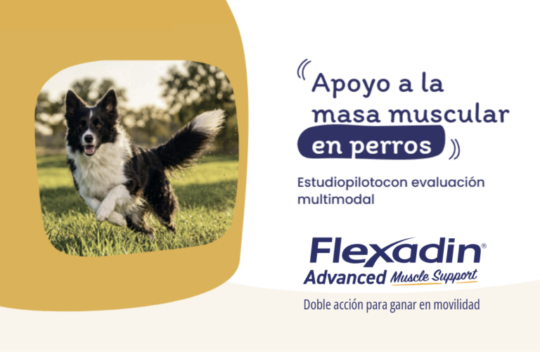 Estudio sobre Flexadin Advanced Muscle support