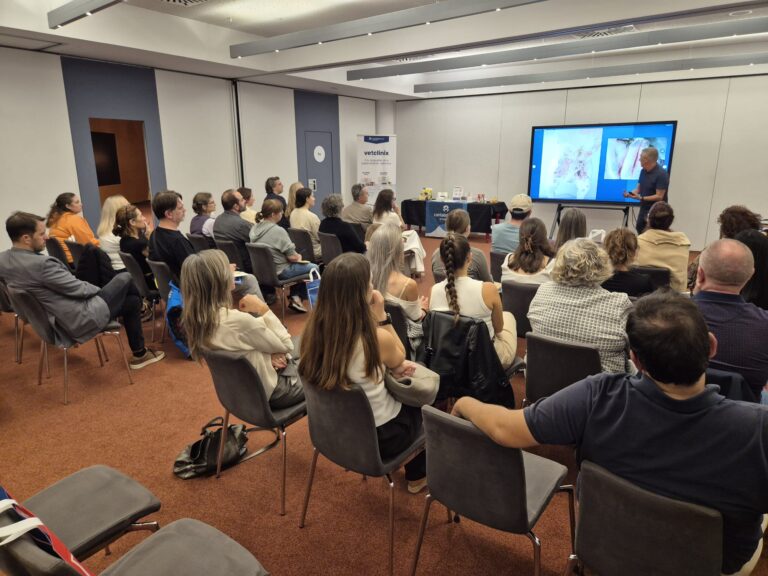 7ª edición de Stangest Vet Talks