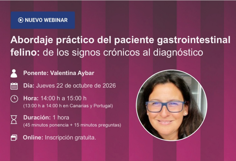 Tarjetón del webinar sobre paciente gastrointestinal felino con detalles del evento.