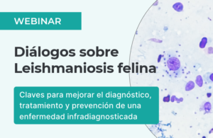 Diálogos sobre Leishmaniosis felina
